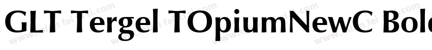 GLT Tergel TOpiumNewC Bold Italicig字体转换